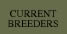 pico ranch programcurrent breeders